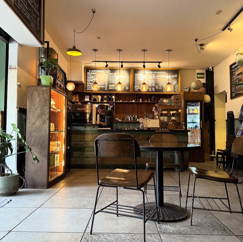 Cardinal in Roma Condesa, Mexico City