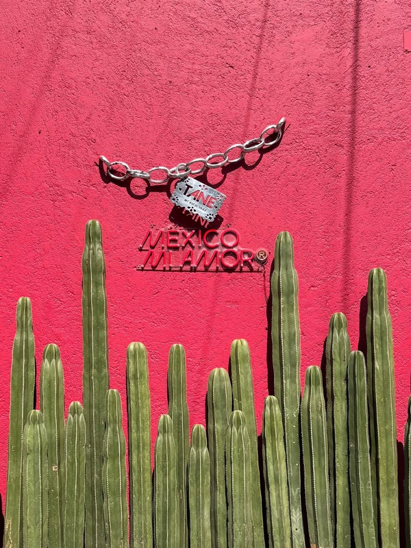 Forte in Roma Condesa, Mexico City