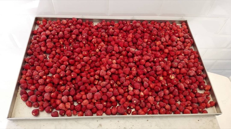 Petrini in Alberone, Rome