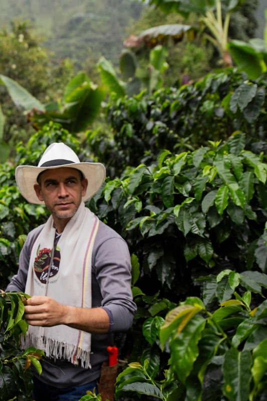 Don Elias Organic Farm in Salento