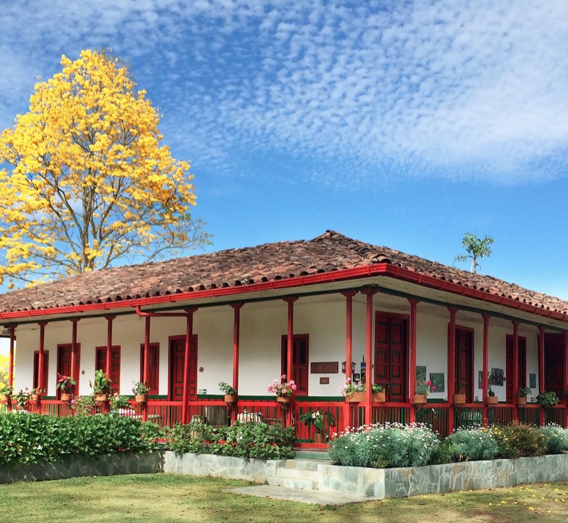 Best Coffee Farms in Salento