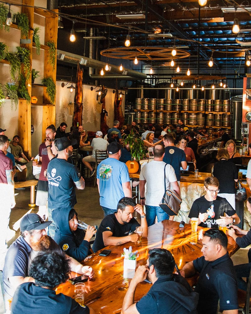 Burgeon Beer Company in San Diego