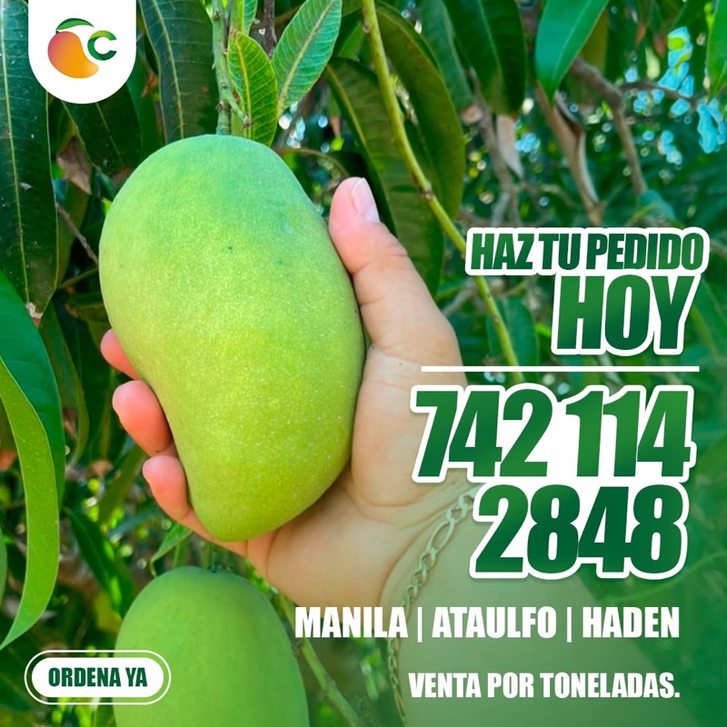 Frutería El Mango