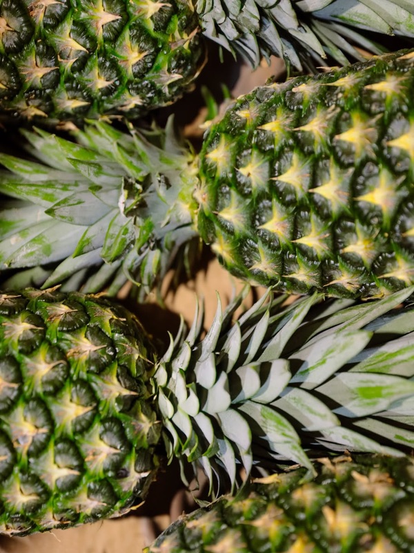 Frutería Sabor Tropical