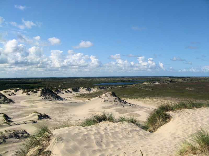 Råbjerg Mile — Denmark's largest migrating sand dune near Skagen