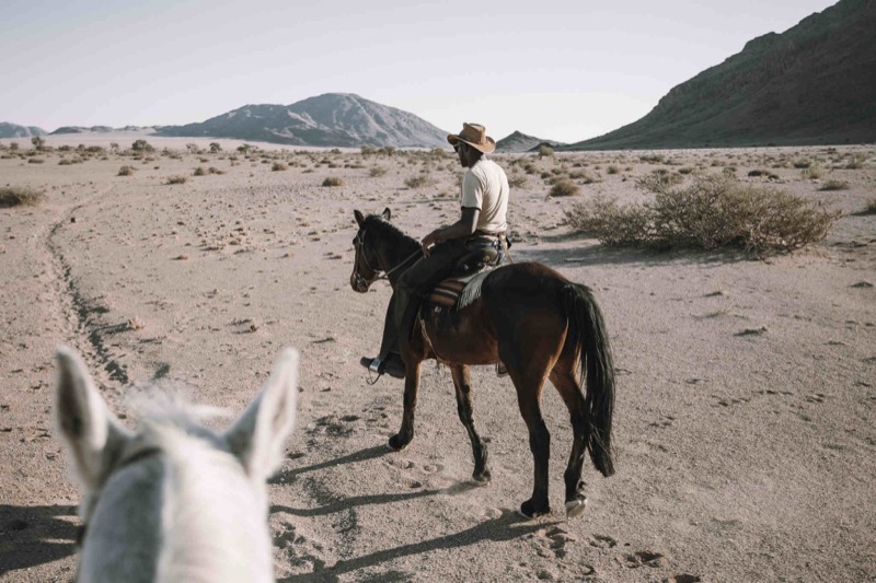 Desert Homestead Lodge with horse farm and desert views