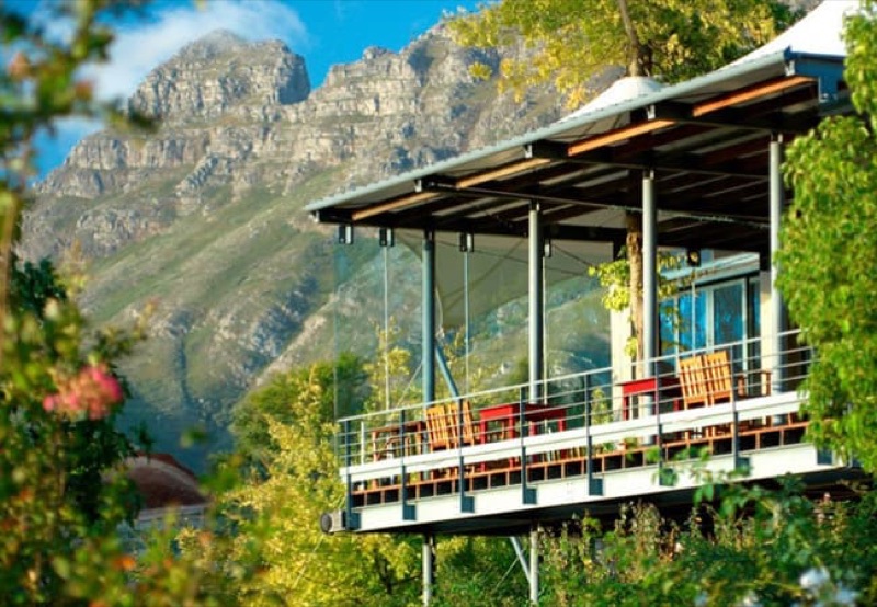 Thelema Mountain Vineyards on Helshoogte Pass with Simonsberg views