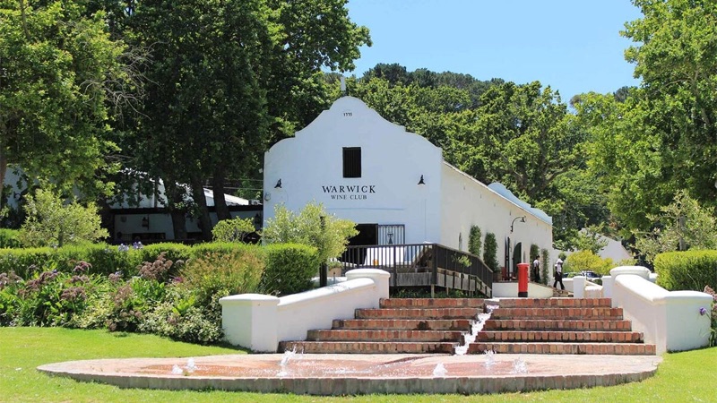 Warwick Estate wine farm at the foot of Simonsberg mountain in Stellenbosch