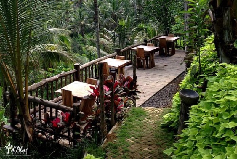 D'Alas Warung Restaurant with jungle and rice terrace views in Tegallalang