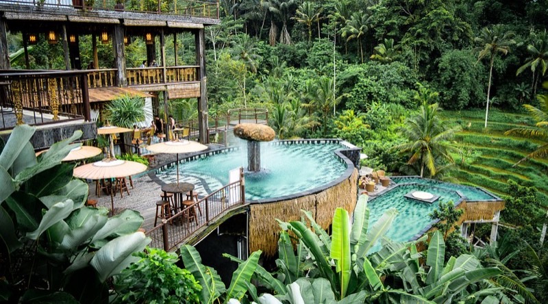 D'Tukad Coffee Club with pool and rice terrace views in Tegallalang