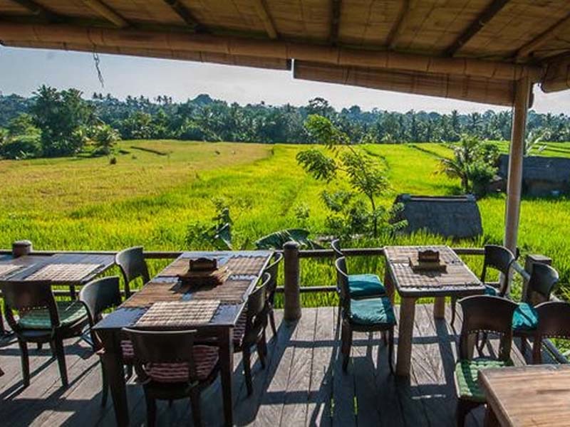 Sari Organik farm-to-table restaurant surrounded by rice fields near Ubud
