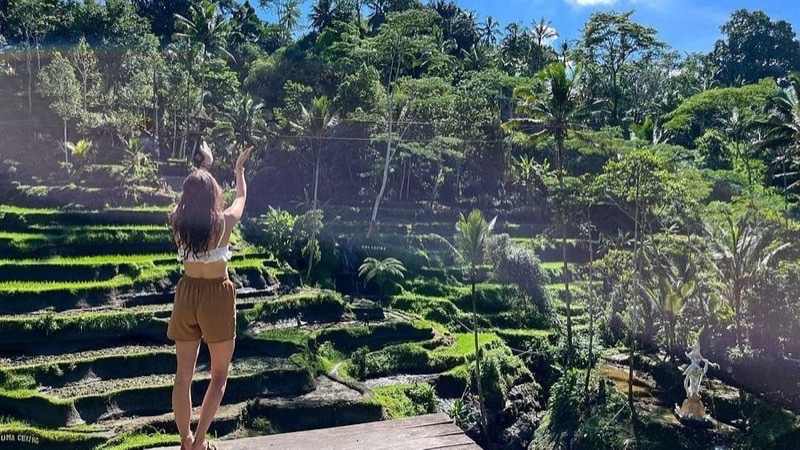 Uma Ceking Resto and Swing with iconic Bali swing over rice terraces