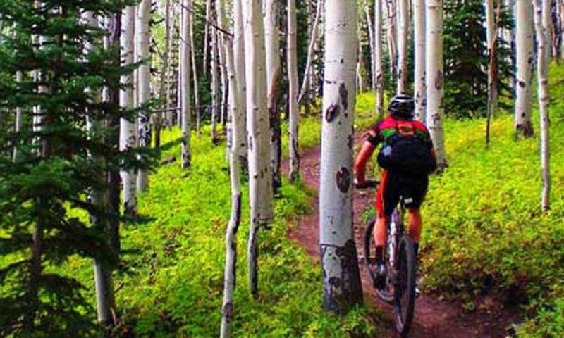 Mountain biking on Telluride ski resort trails in summer
