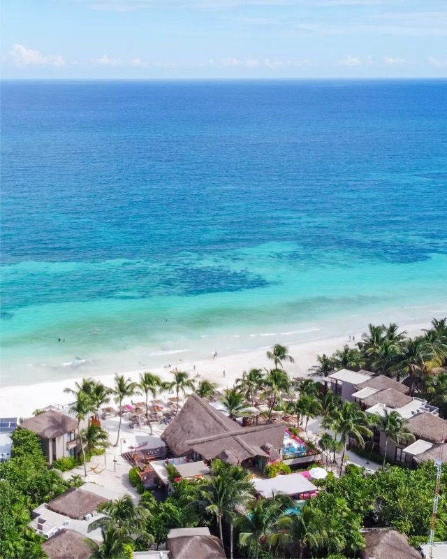 Sunday Vibes at La Zebra, South Hotel Zone, Tulum — $40–$60 min spend