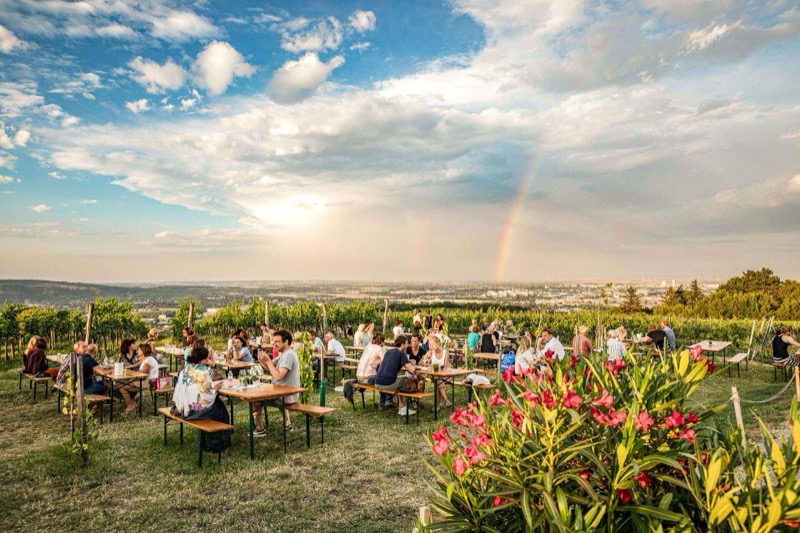 Best Heurigen in Vienna