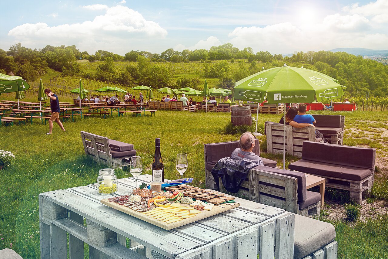 Mayer am Nussberg in Nussberg, Nussdorf (19th district)