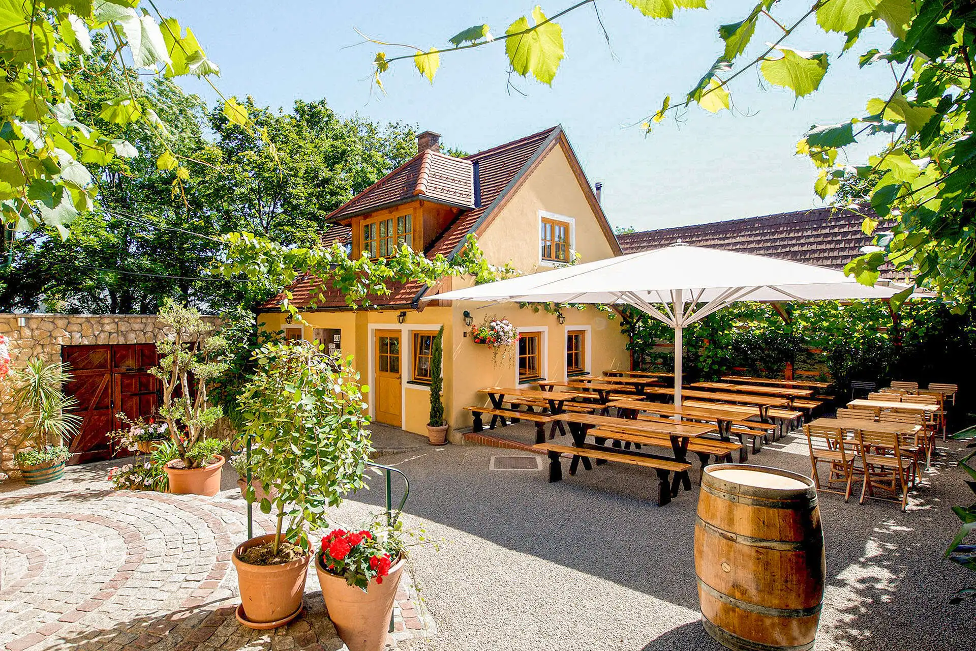 Weinbau Obermann in Grinzing (19th district)