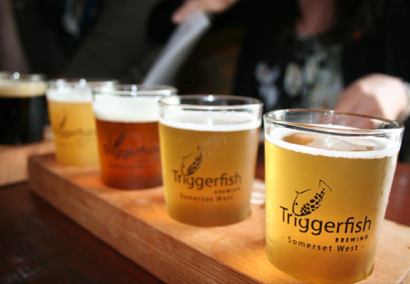 Triggerfish Brewery in Somerset West, Cape Town