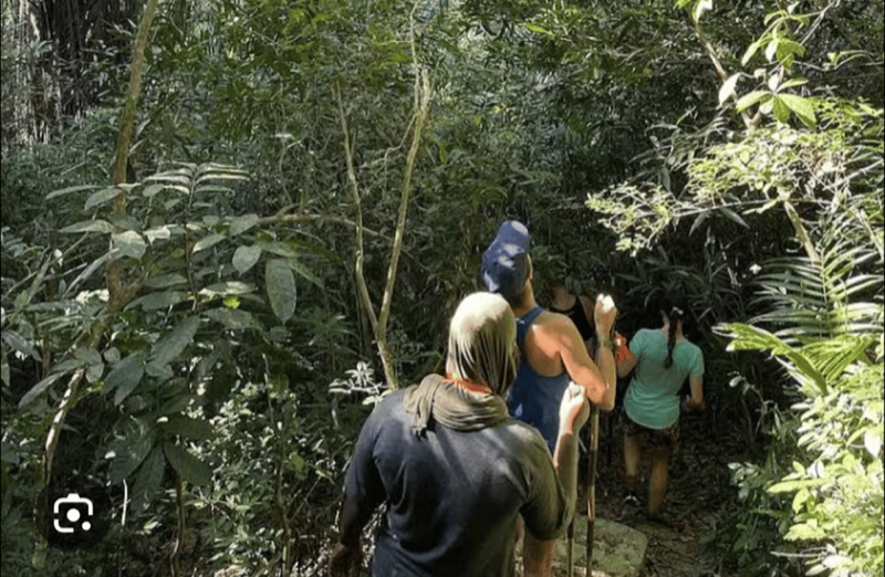 Masingini Forest spice farms in Zanzibar