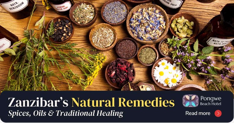 Mtende Spice and Herb Garden in Zanzibar