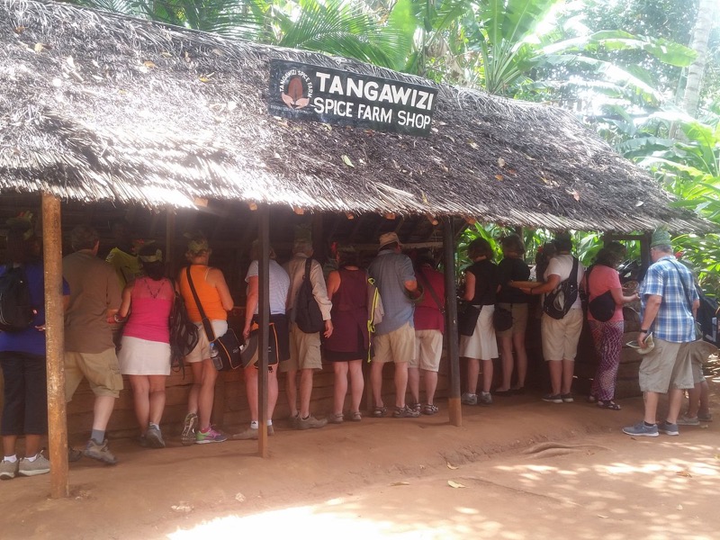 Tangawizi Spice Farm in Zanzibar
