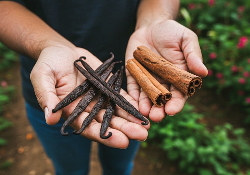 Zanzibar Organic Spice Farm
